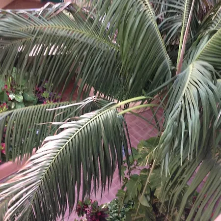 Parque Tropical Los Cristianos